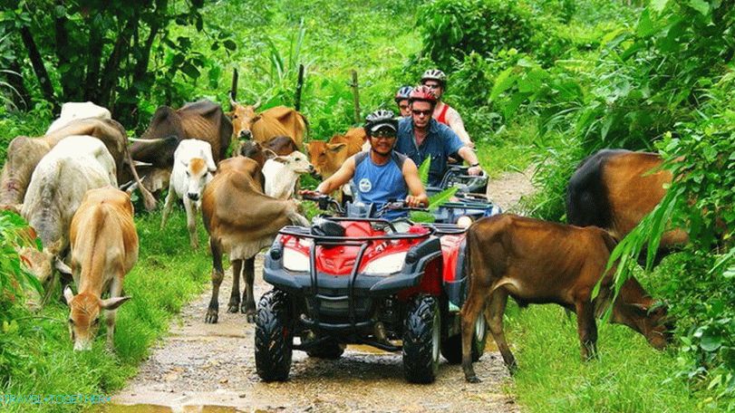 Racing quad bikes v Krabiju