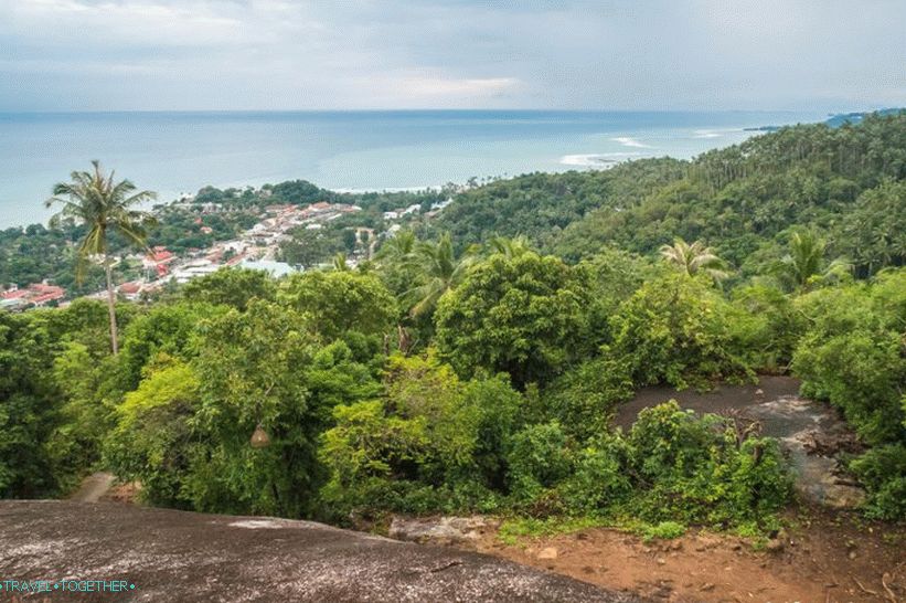 Samui Camp Bar - najboljša točka na Samuiju in strašnem Budi v gozdu