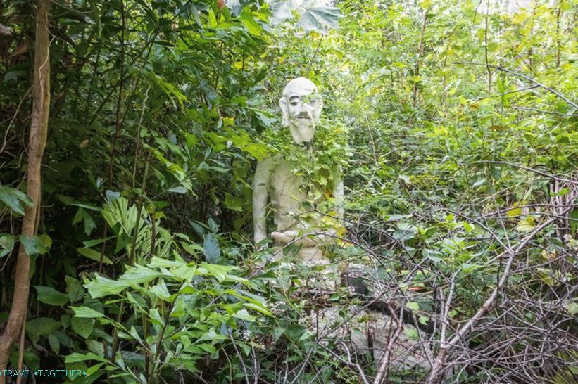 Samui Camp Bar - najboljša točka na Samuiju in strašnem Budi v gozdu
