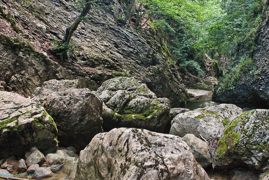 Počutiš se kot pravljica