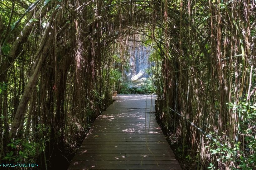 Botanični vrt v Phuketu - za ljubitelje rastlin in sebe