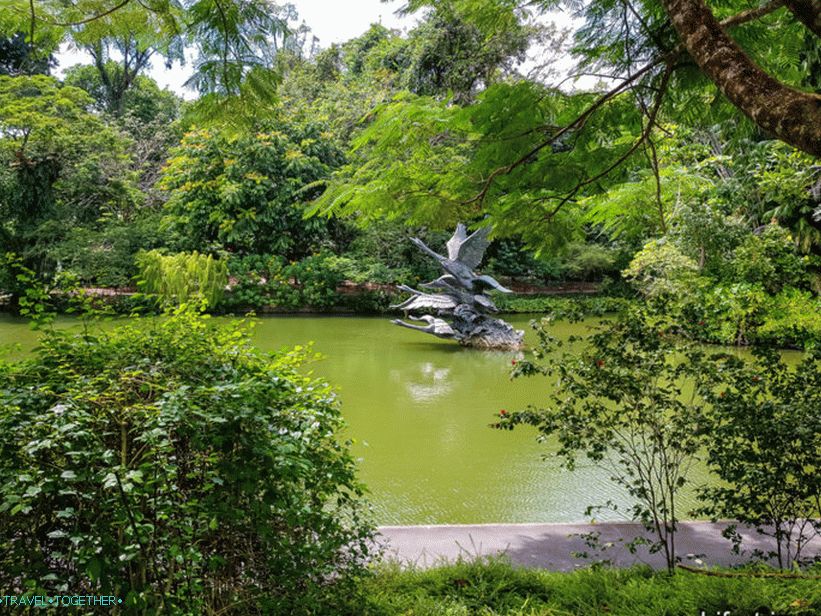 Botanični vrt v Singapurju - ne želim oditi