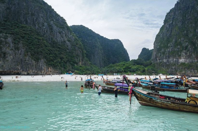 Bay Maya Bay na Phi Phi - celotna resnica o plaži iz filma z Di Caprio
