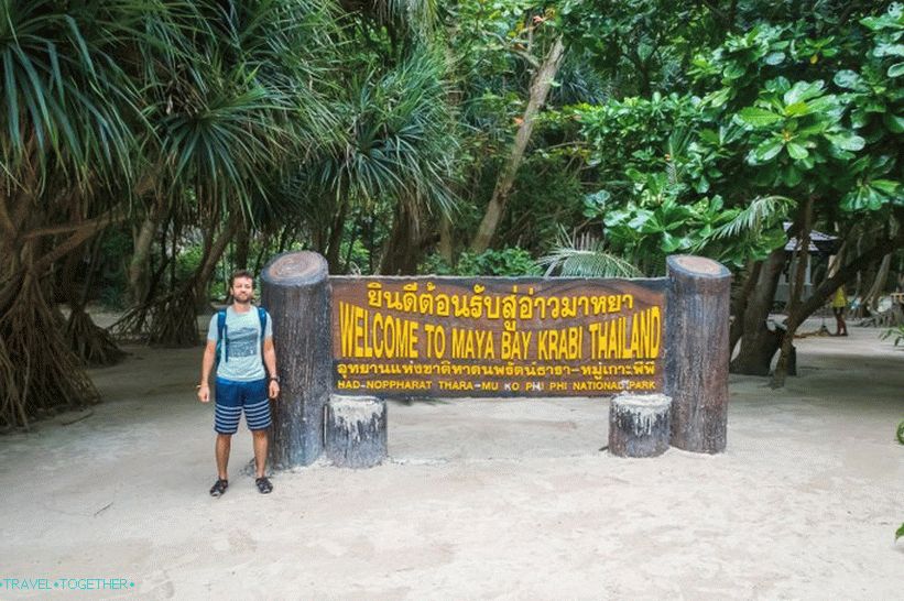 Bay Maya Bay na Phi Phi - celotna resnica o plaži iz filma z Di Caprio