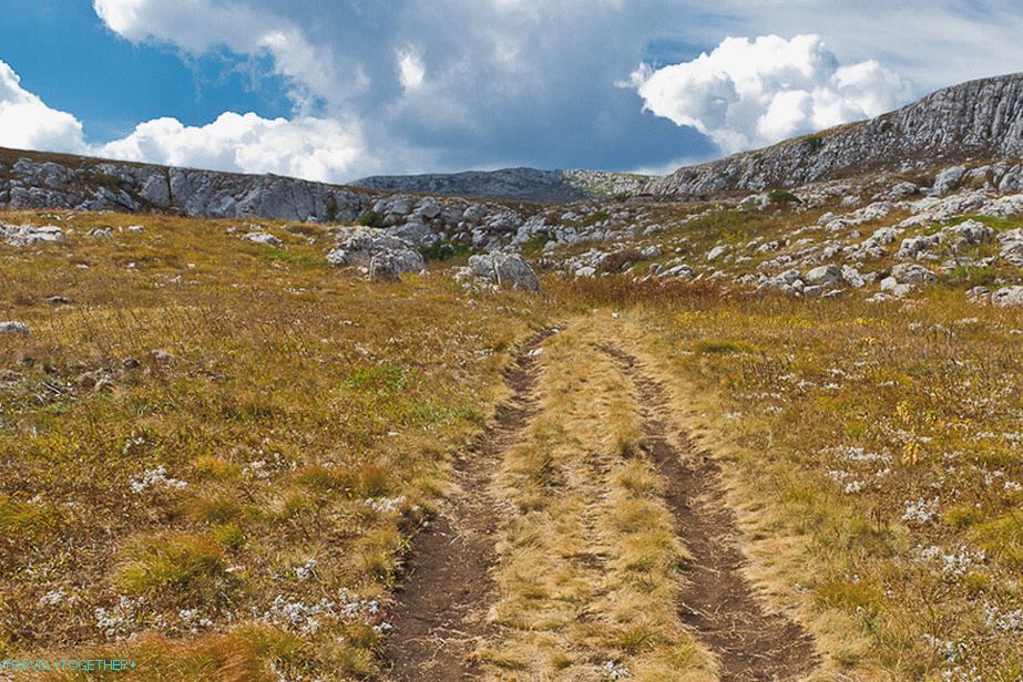 Gremo na planoto, ni dreves in močnega vetra