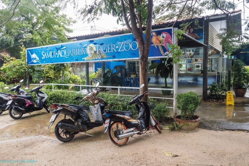 Akvarij in Tiger Zoo