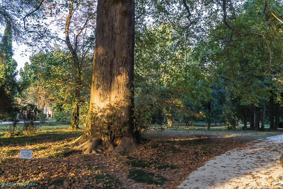 Park južnih kultur