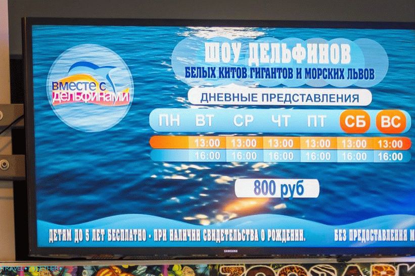 Dolphinarium Riviera v Sočiju - družinske počitnice z delfini