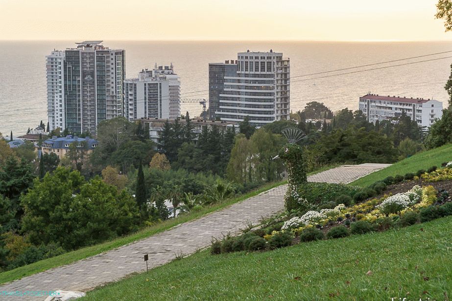 Sochi Arboretum, na samem vrhu