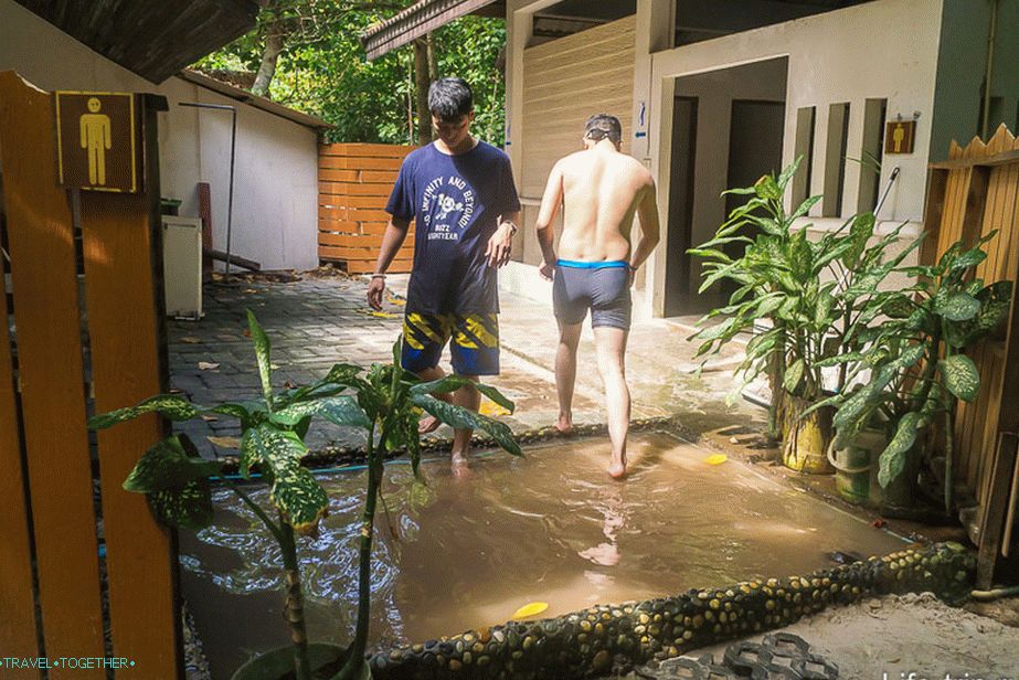 Stranišče ni za gnusno, ali si lahko predstavljate, kolikokrat je bilo tu splaknjeno?