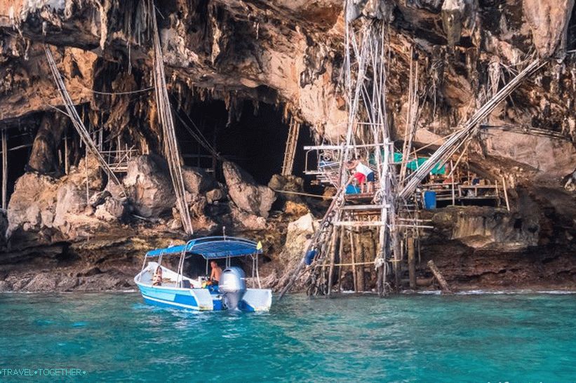 Phi Phi Island Tour na Tajskem - moj pregled in kako najbolje greste