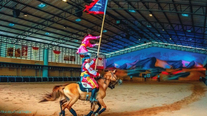 Pipo Pony Farm v Pattayi