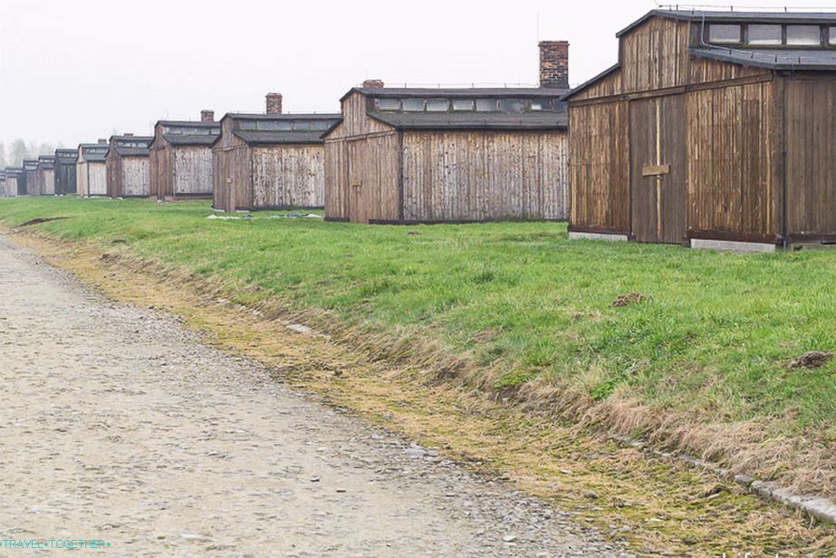 Obnova lesenih koč Birkenaua