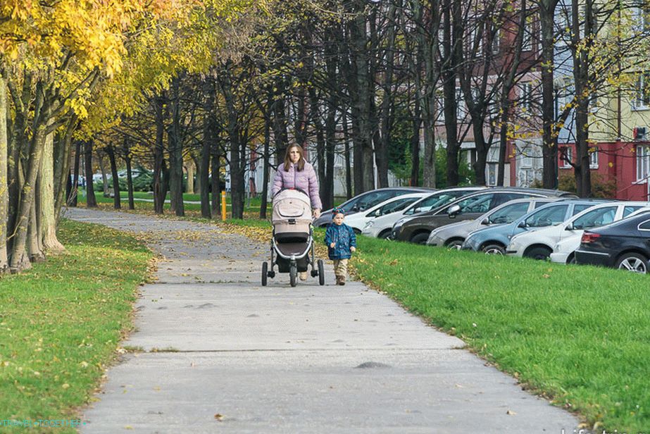Veliko matere hodi s sprehajalci