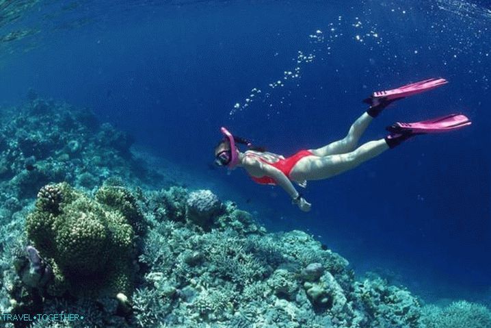 Antalya diving