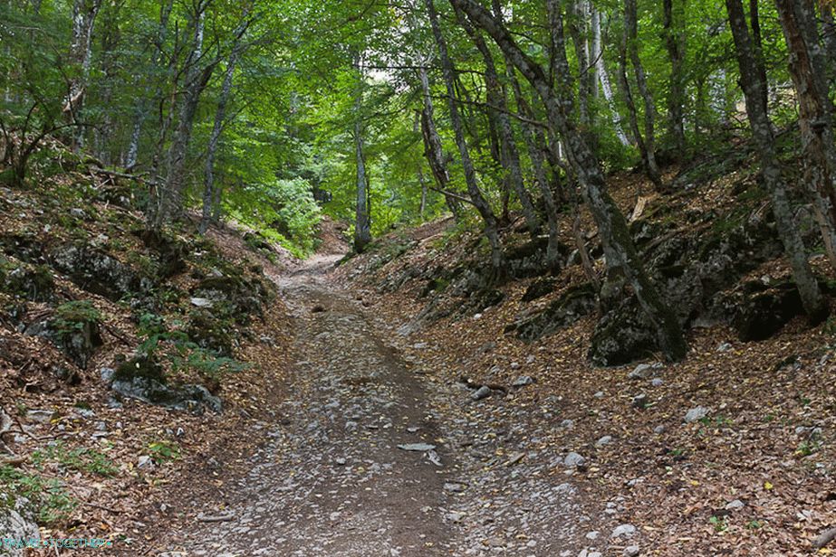Čarobno in čudovito mesto