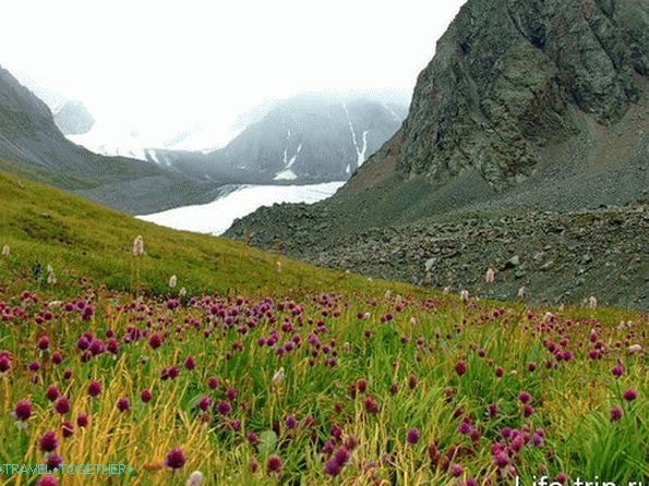 Gorski Altai.