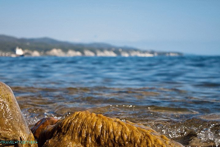 Divja plaža v bližini mesta Tuapse.