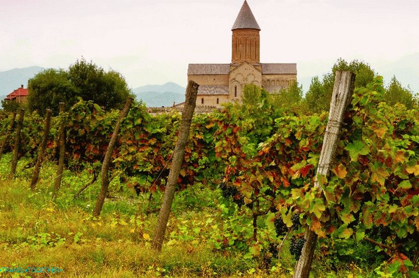 Vinogradi Gruzije