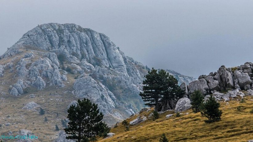 Dinarsko gorje