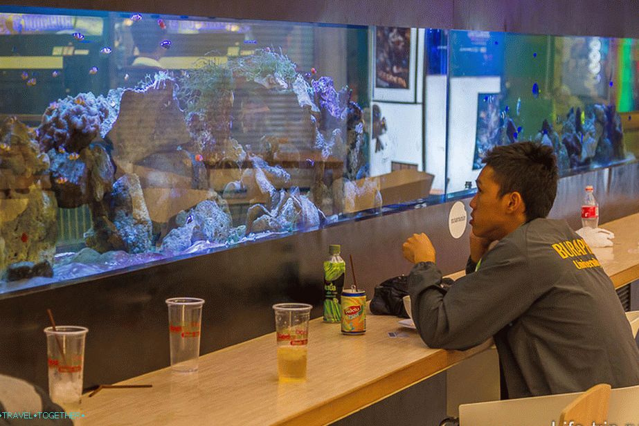 V nakupovalnem središču Laemtong lahko jedete in grizljate v akvarij