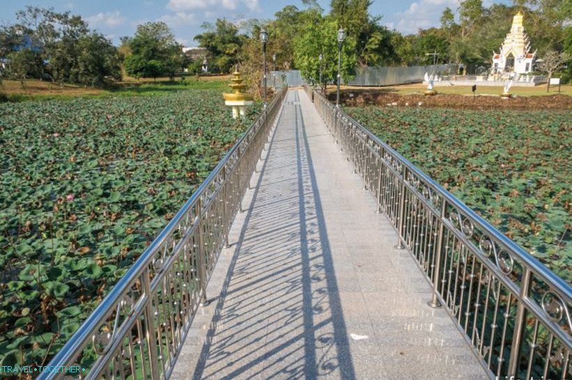 Most čez lotosov ribnik