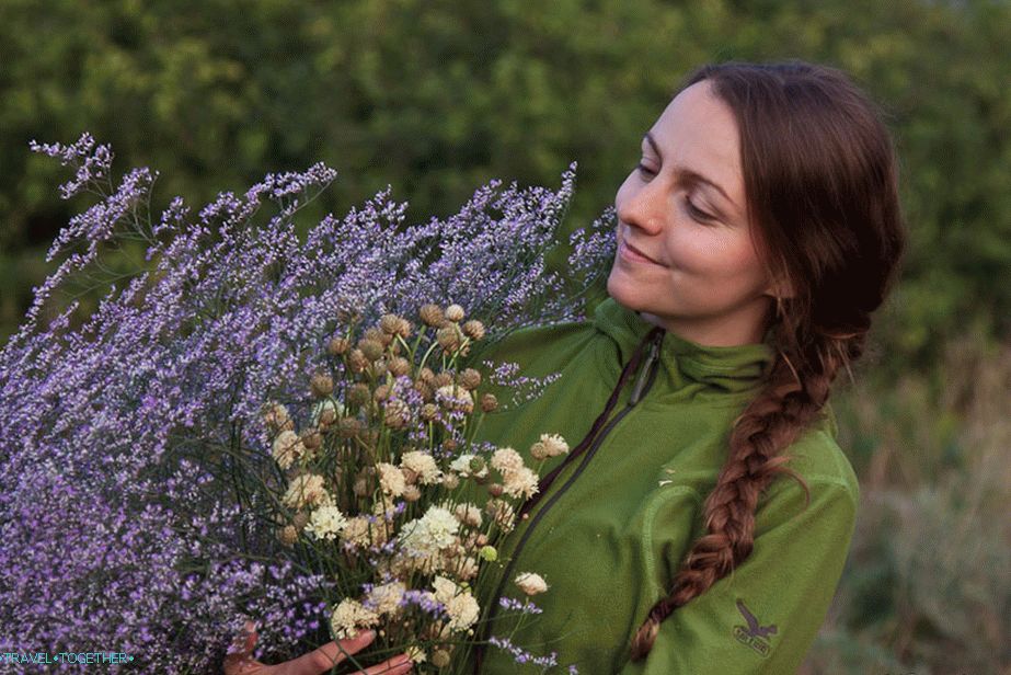 Bouquet of wild flowers