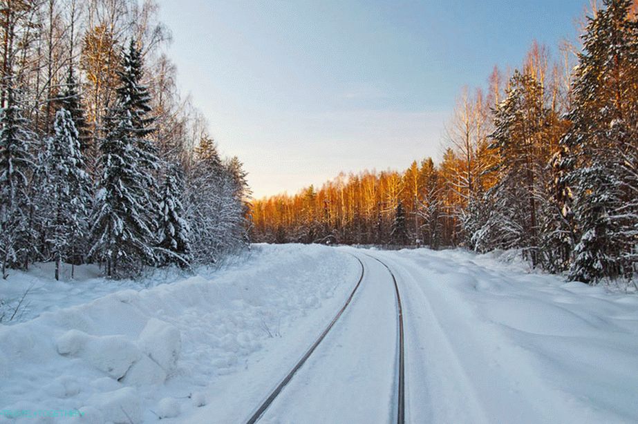 V Vologdski divjini, na Monzenski železnici, ki prevaža gozdove