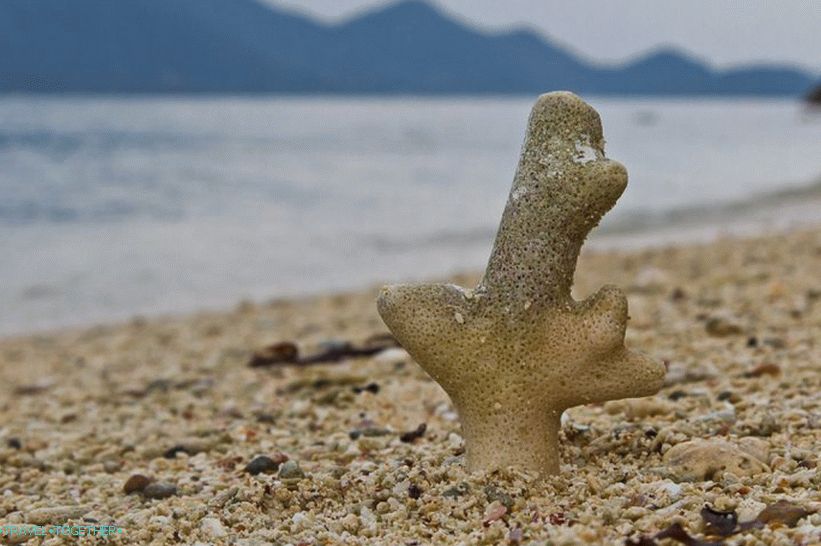 Fotografije otoka Koh Chang (40)