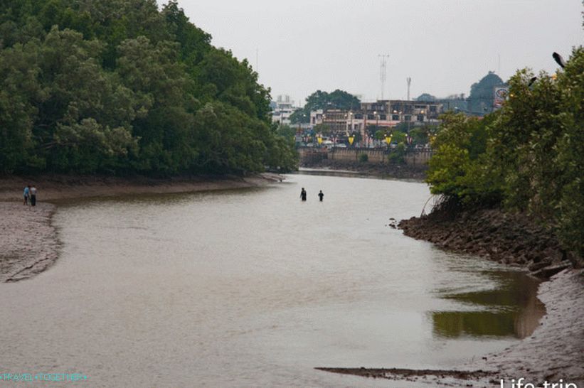 Krabi ob oseki