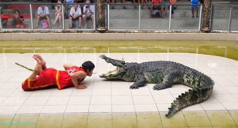 Pokaži s krokodili na Tajskem