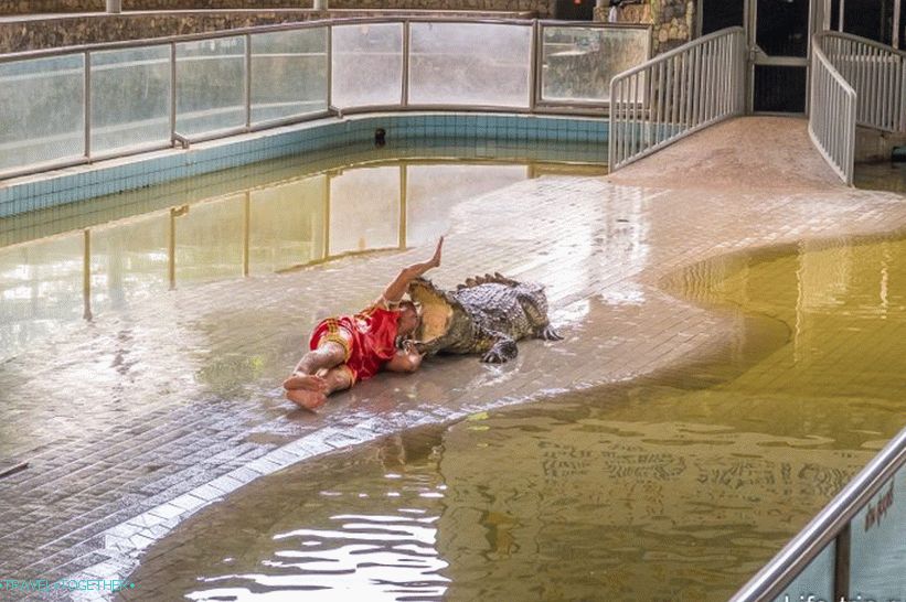 Krokodilska kmetija v Pattayi in park milijonskih kamnov - moji vtisi