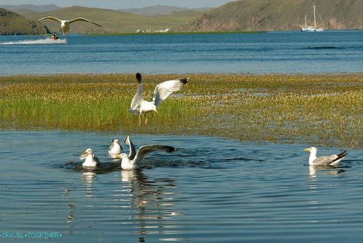 Baikal-Lensky Reserve