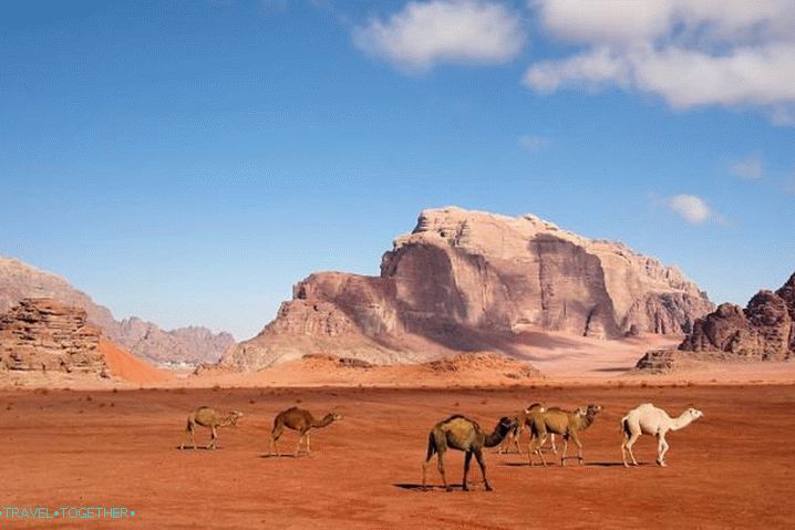 Jordan, Wadi Rum