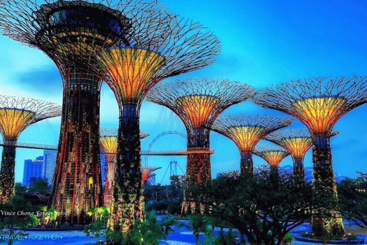 Singapur, rastlinjaki v rastlinjakih