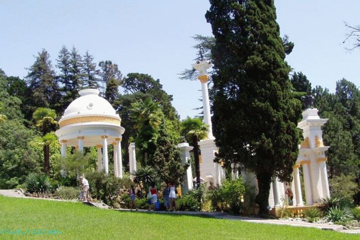 Sochi, Arboretum