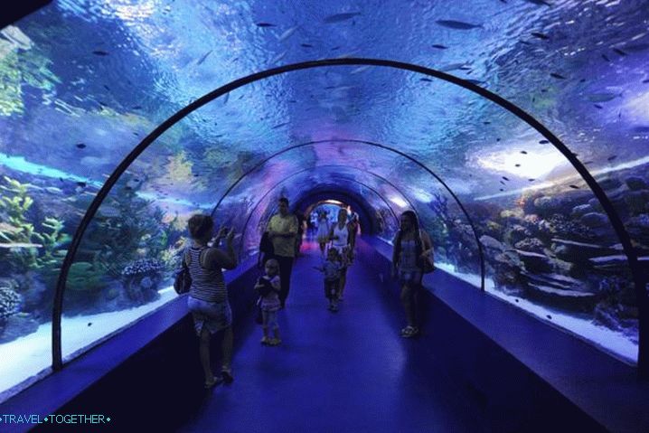 Turčija, Oceanarium v ​​Antaliji