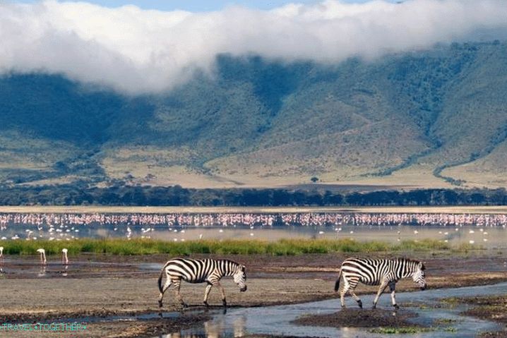Tanzanija Ngorongoro