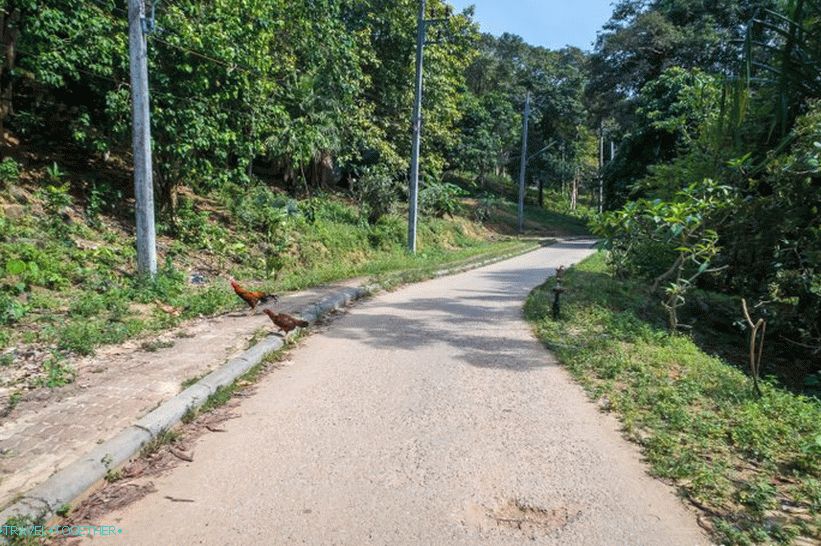 Najboljše opazovalne platforme na otoku Phi Phi - točke 1, 2 in 3