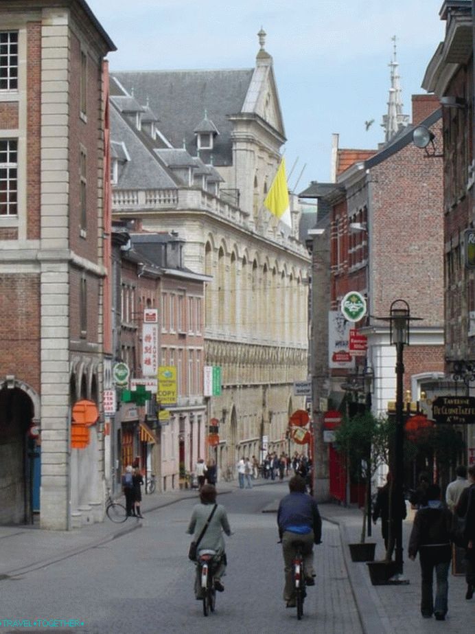 Leuvenske ulice