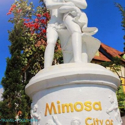 Mimoza - mesto ljubezni v Pattayi