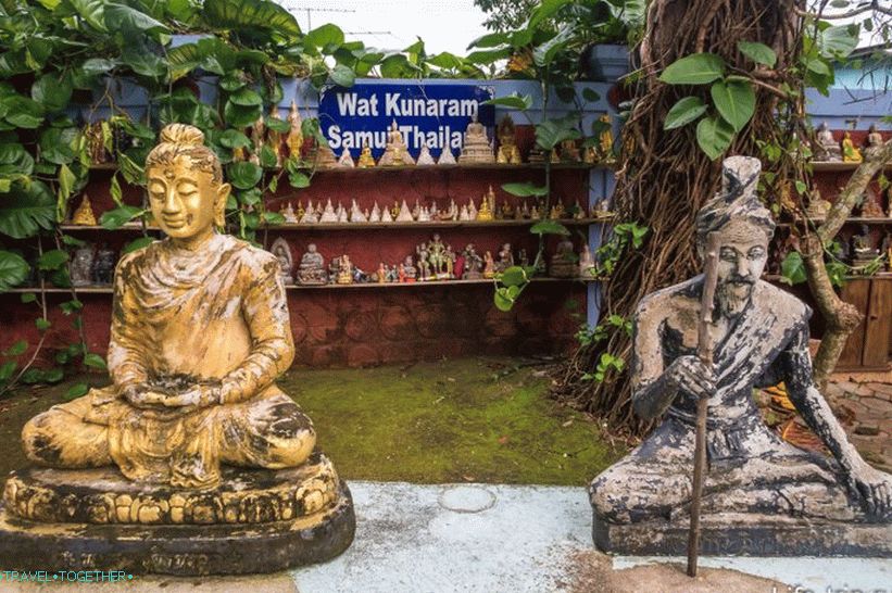 Mumificirani menih na Samui - koliko jih je res