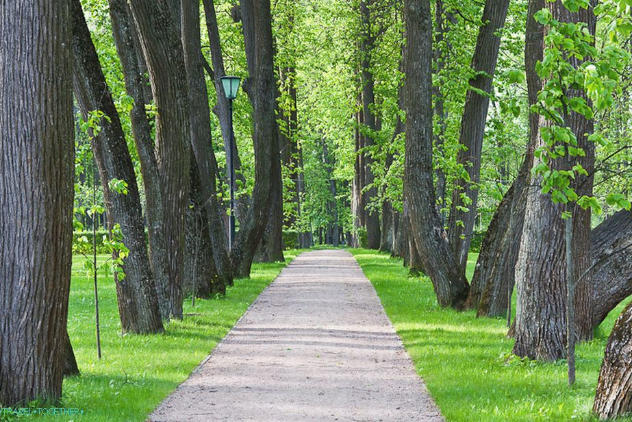 Senčnice v posesti Ostafievo