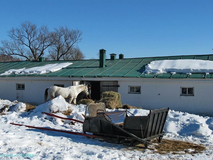 Dvorec Tolstoj Yasnaya Polyana. Stabilno.