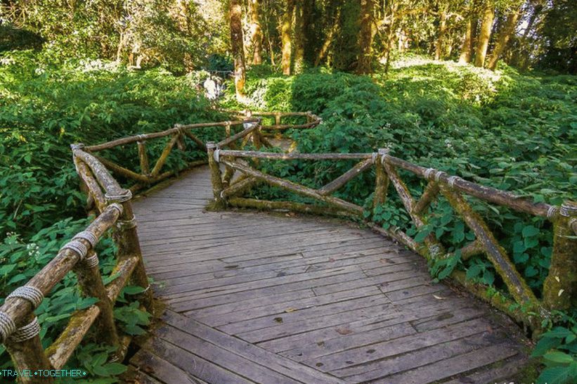 Narodni park Doi Inthanon (43)