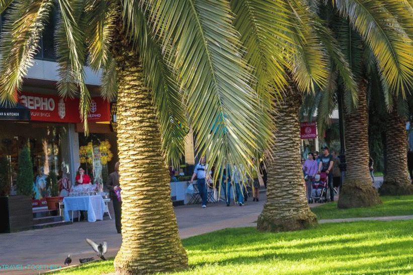 Navaginskaya Street v Sočiju - naravni lokalni Arbat