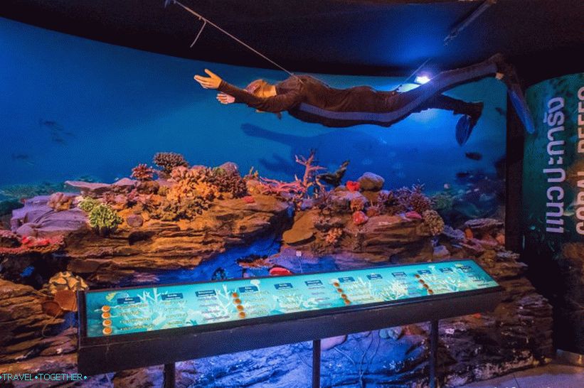 Oceanikarij Phuket - ki je precej dolgočasen akvarij