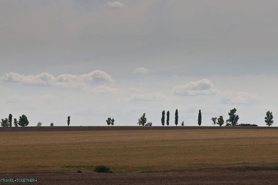 Don Steppe