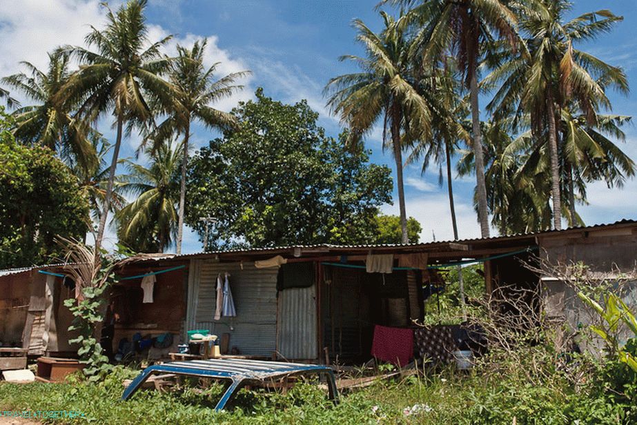 Barake v Phuketu