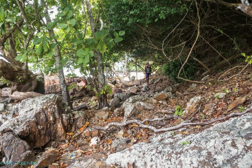 Otok Bambu v bližini Phi Phi - vključen v vse ture